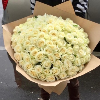 Author's bouquet of 101 white roses