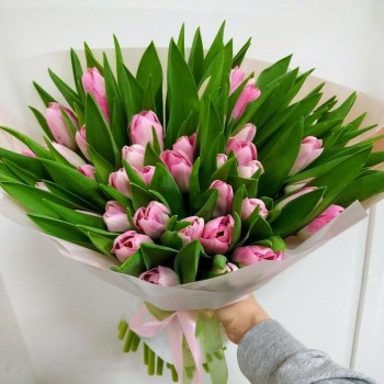 45 soft pink tulips.